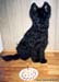 Riina 1 year