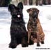 Riina and Tytti winter 1995