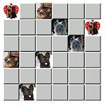 Pelaa muistipeli� - Click to play Memory